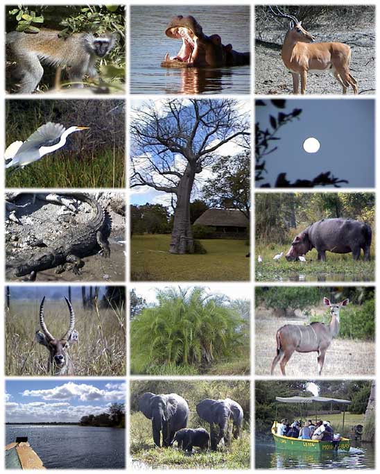 National parks of Malawi